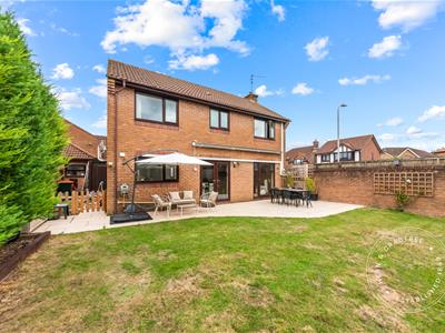Picture 35